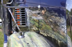 Freightliner Coronado 6x4 Sattelzugmaschine Airbrush "Bluebird" 2001-ca. 2010