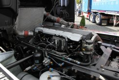 MAN TGS 18.480 Reinert-Adventure 2014