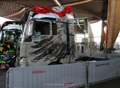 MAN TGX 4x2 XXL Tattoo-Trucks Sattelzugmaschine 2014